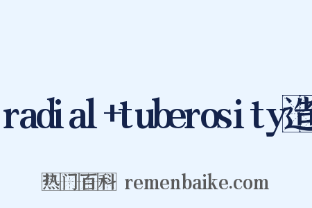 radial+tuberosity造句是什么意思的图片